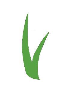 ForeverLawn Central Kentucky